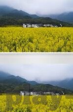 果冻麻豆乌鸦传媒视频-媒体感官的蛋糕,对果冻麻豆乌鸦传媒视频的一次性尝味